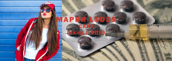 гашик Карпинск