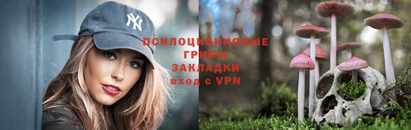 дурь Новокубанск