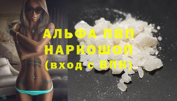 a pvp Новозыбков